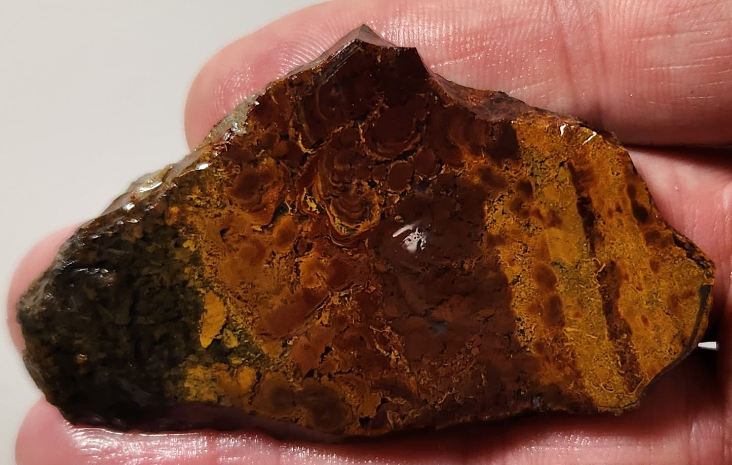Dalle d'agate à plumes du bassin sanglant
