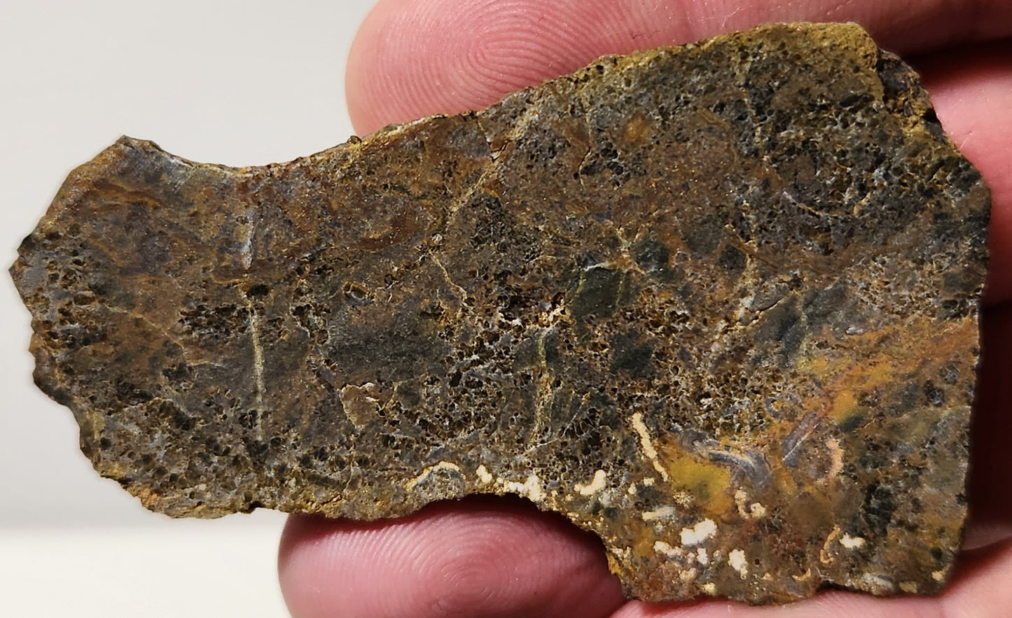 Dalle d'agate à plumes du bassin sanglant