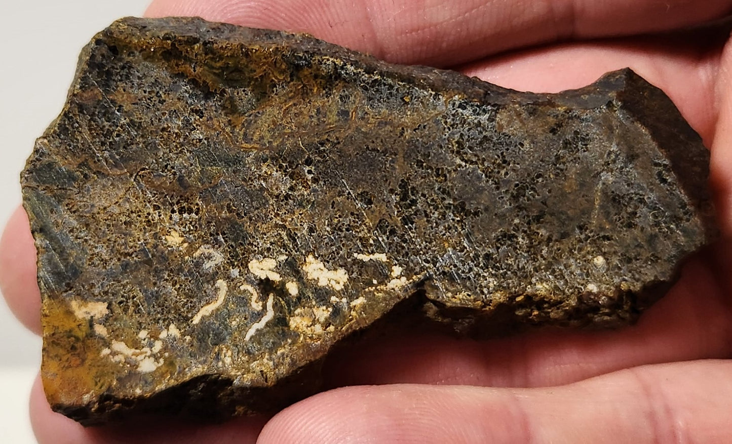 Dalle d'agate à plumes du bassin sanglant