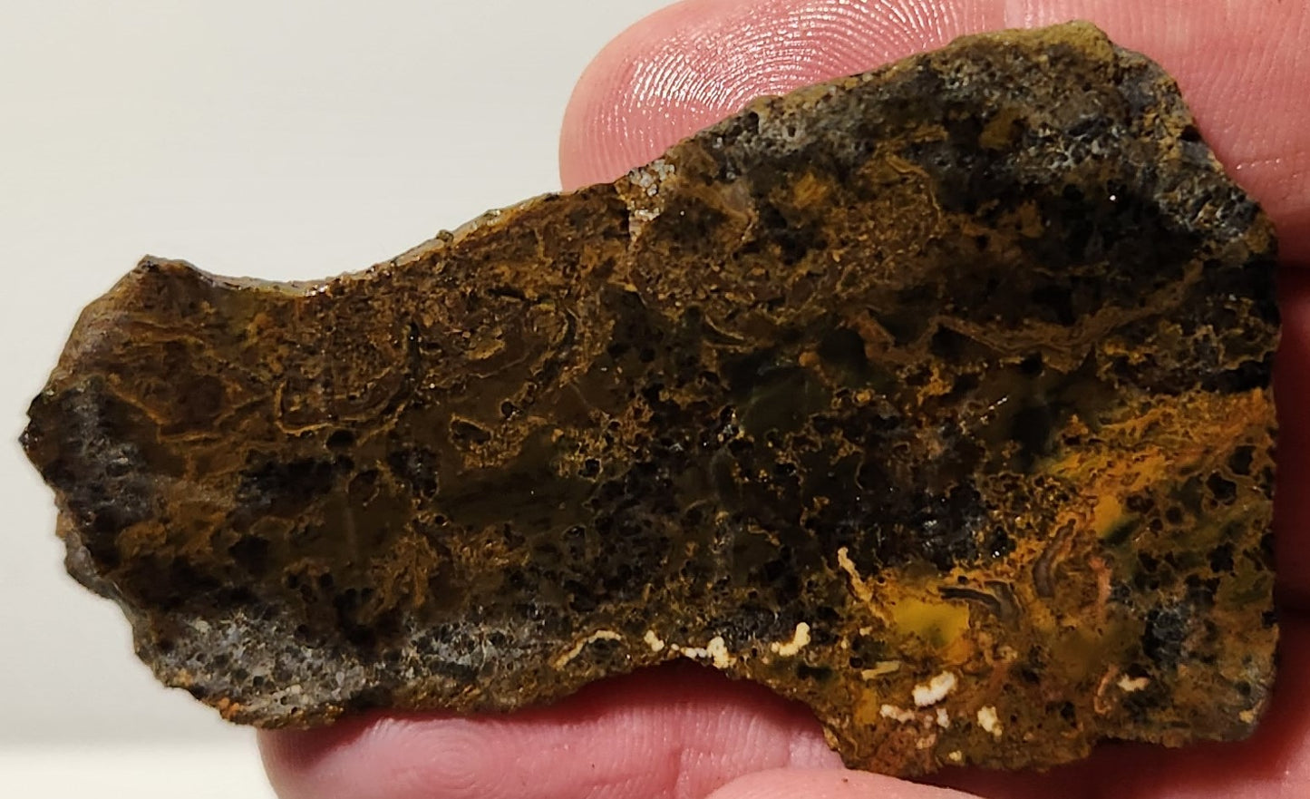 Dalle d'agate à plumes du bassin sanglant