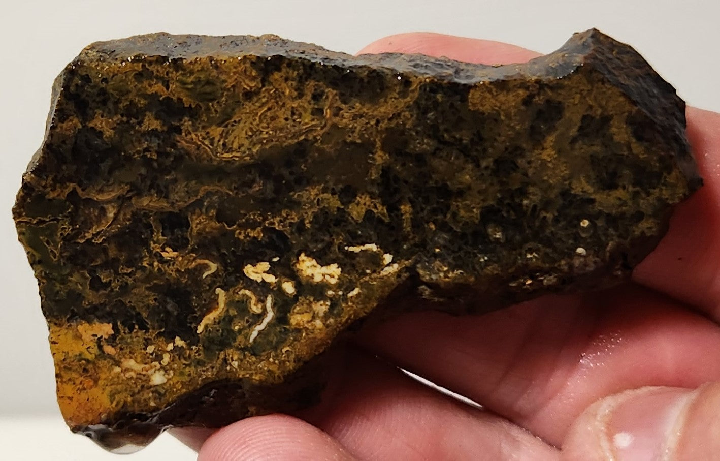 Dalle d'agate à plumes du bassin sanglant