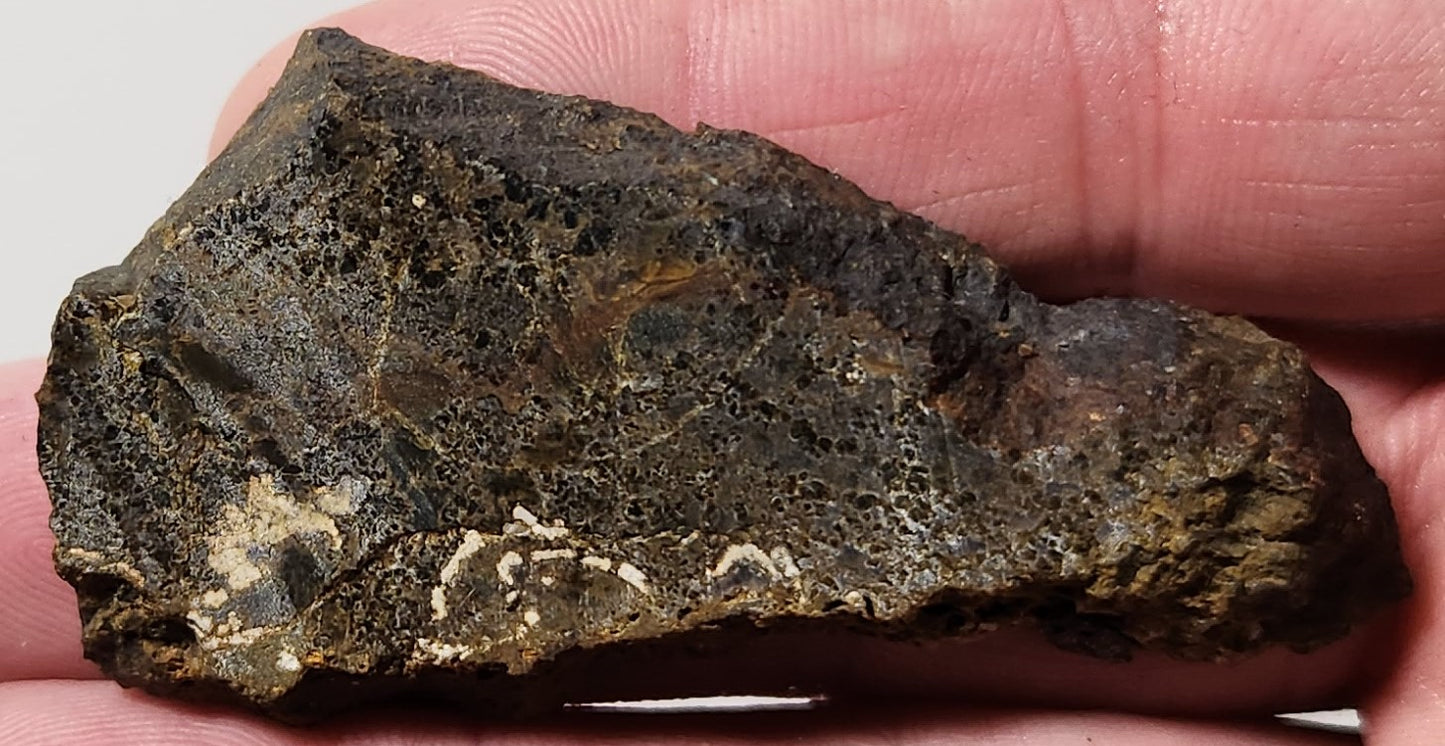 Dalle d'agate à plumes du bassin sanglant