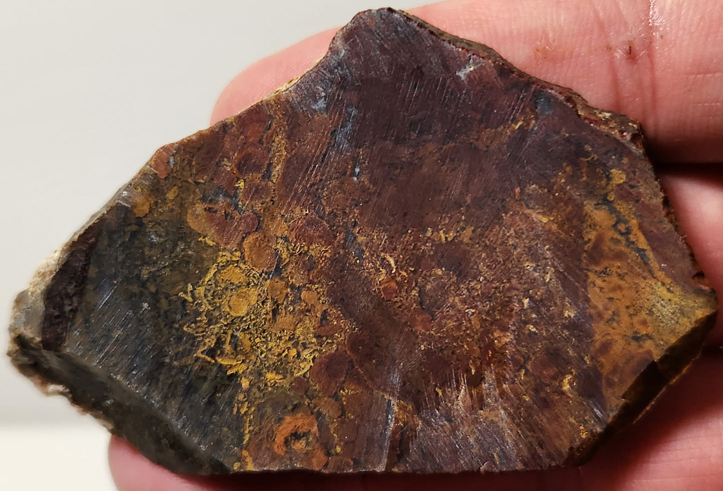 Dalle d'agate à plumes du bassin sanglant