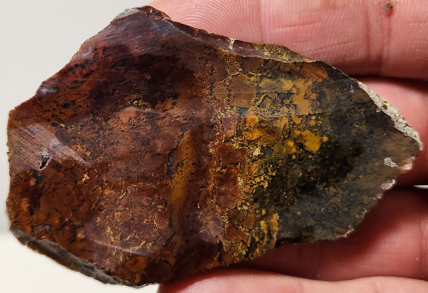 Dalle d'agate à plumes du bassin sanglant