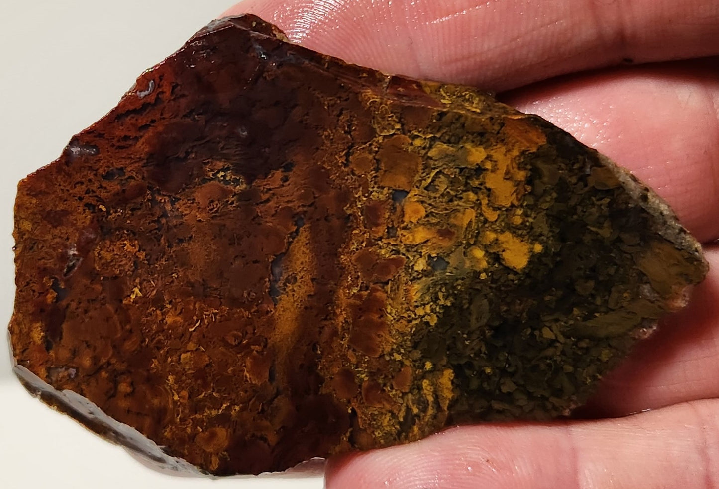 Dalle d'agate à plumes du bassin sanglant