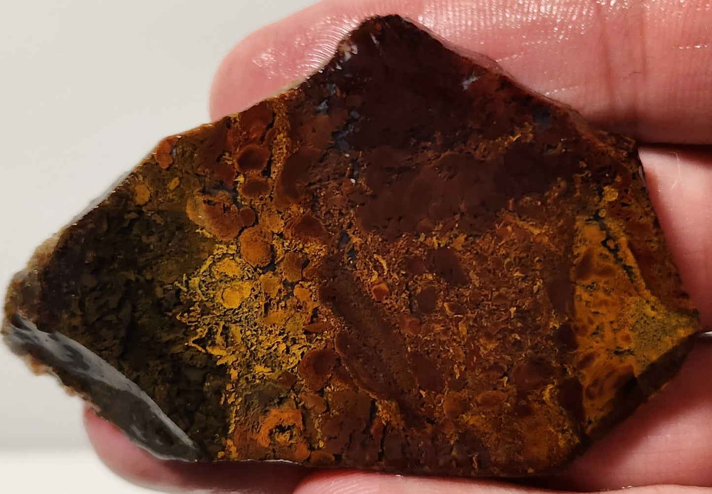 Dalle d'agate à plumes du bassin sanglant