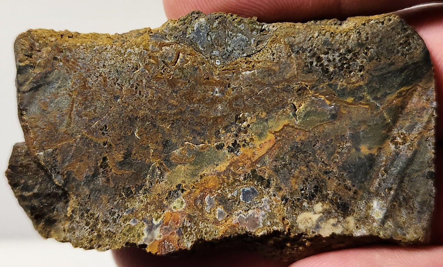 Dalle d'agate à plumes du bassin sanglant