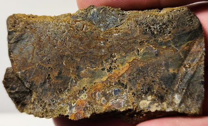 Dalle d'agate à plumes du bassin sanglant
