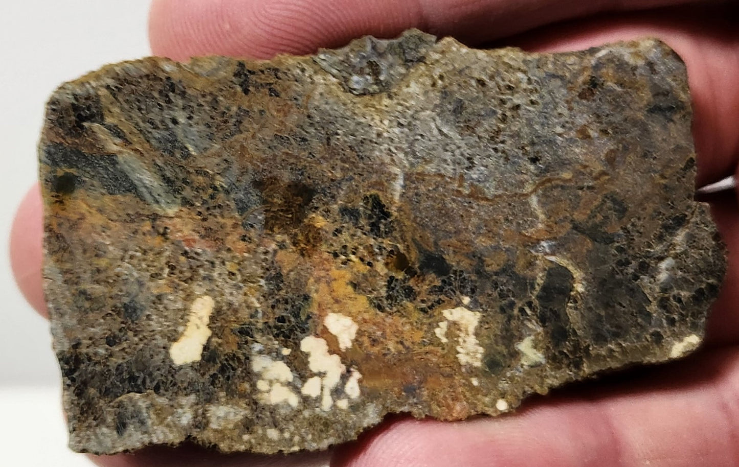 Dalle d'agate à plumes du bassin sanglant