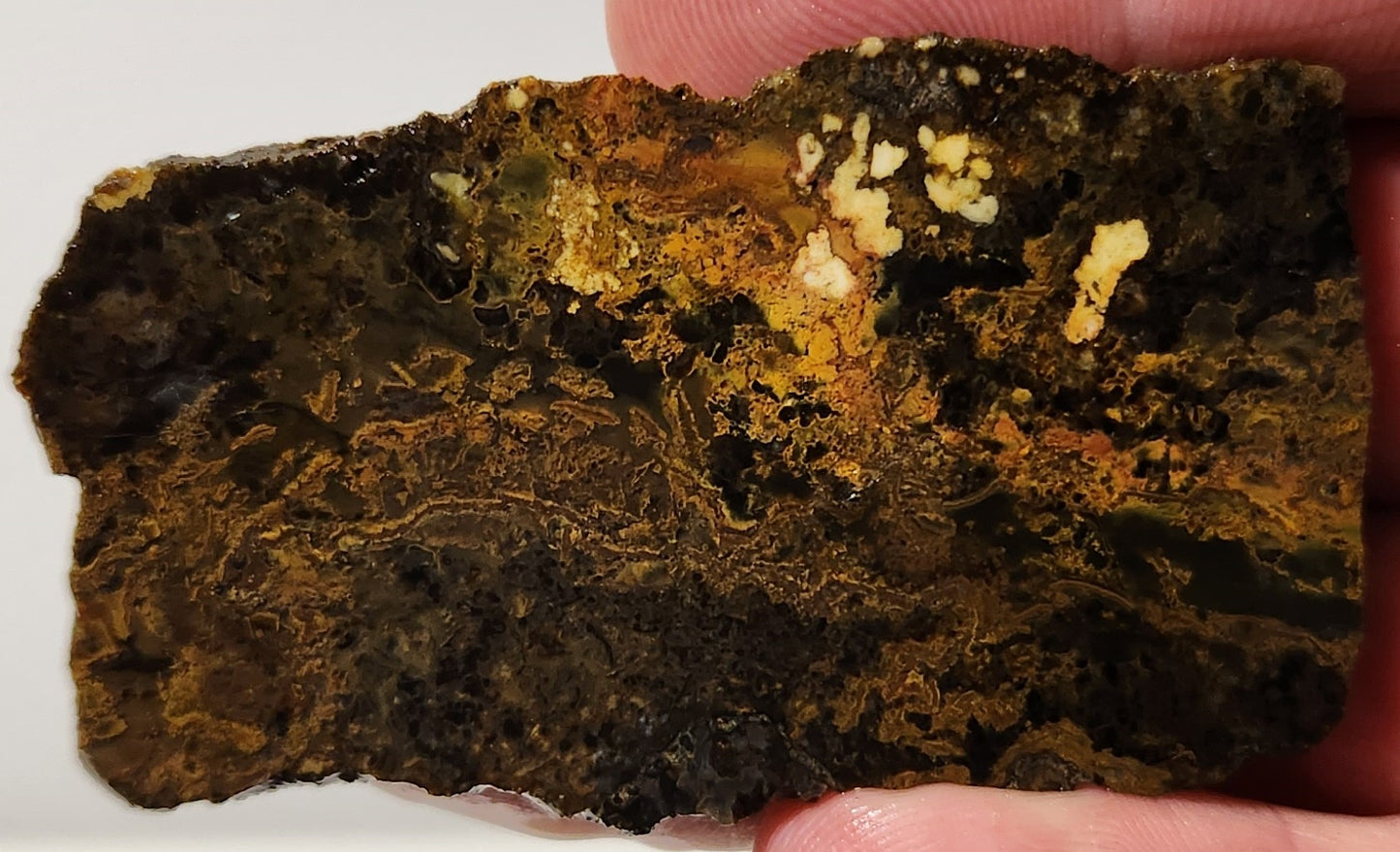 Dalle d'agate à plumes du bassin sanglant