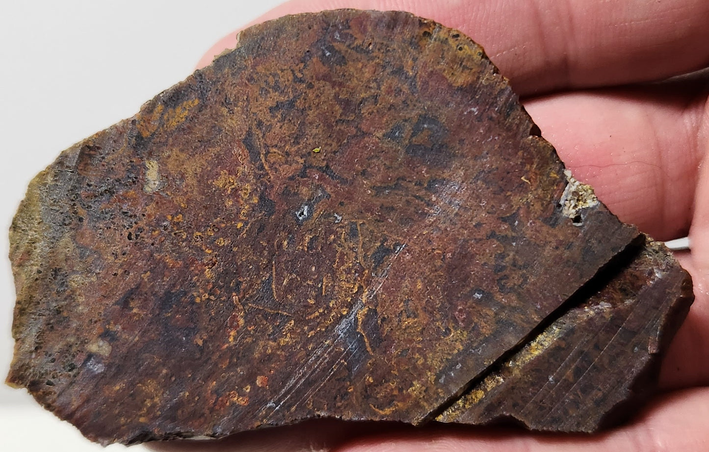 Dalle d'agate à plumes du bassin sanglant