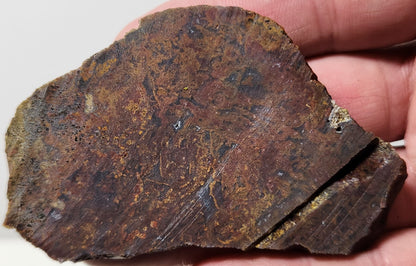 Dalle d'agate à plumes du bassin sanglant