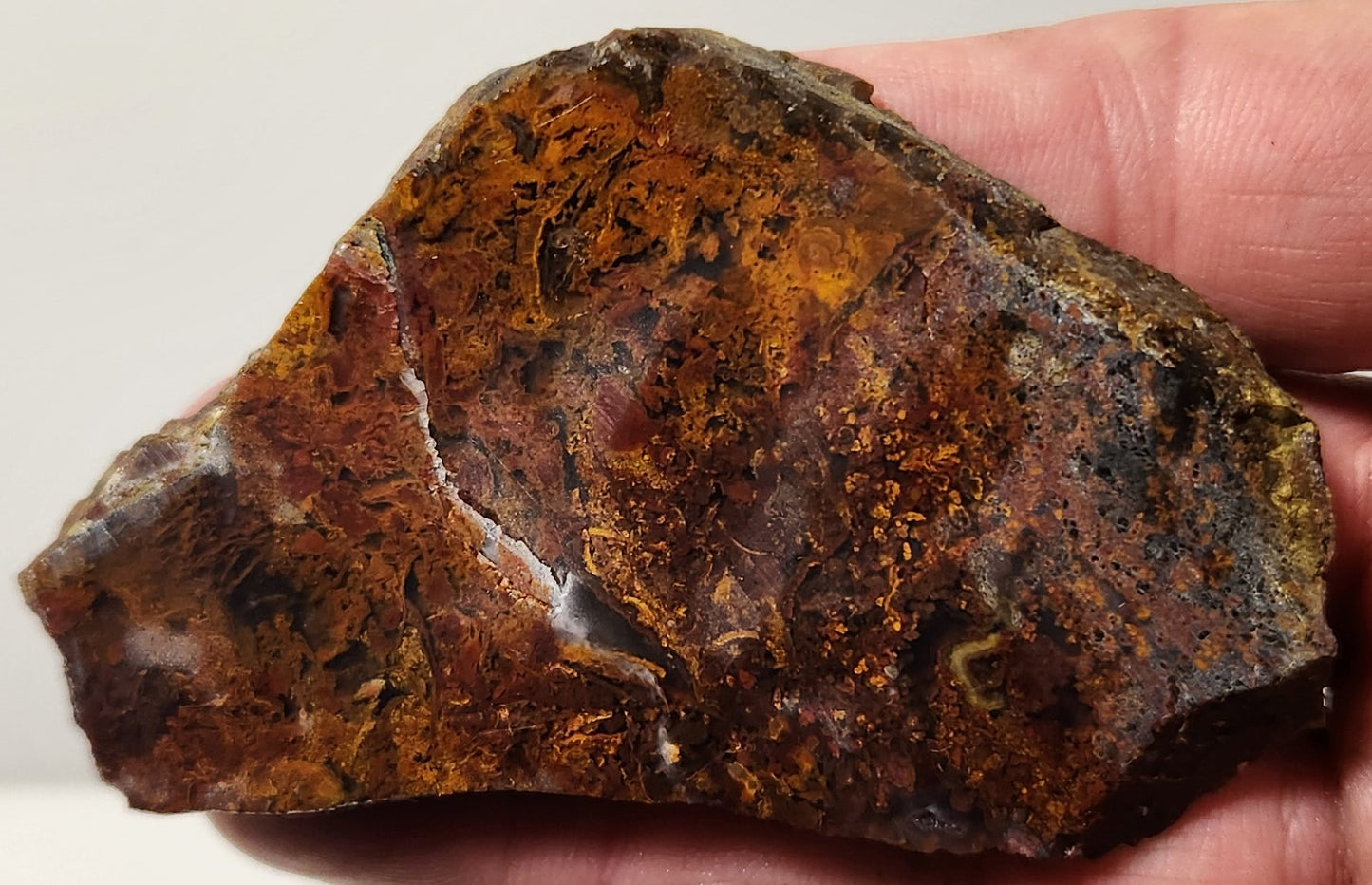 Dalle d'agate à plumes du bassin sanglant