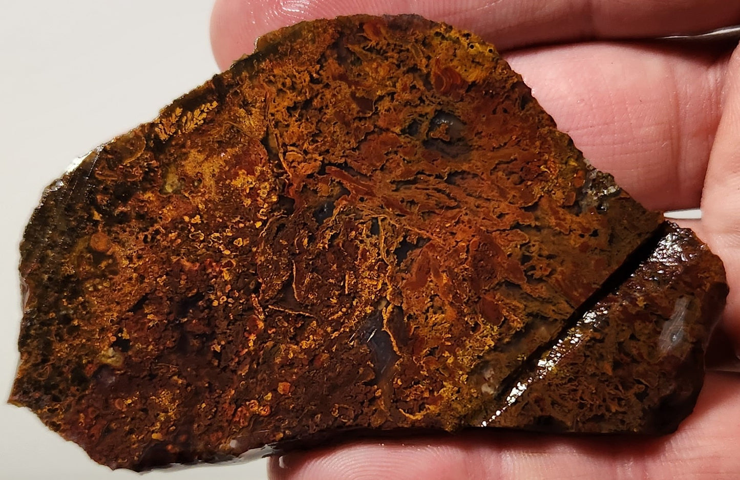 Dalle d'agate à plumes du bassin sanglant