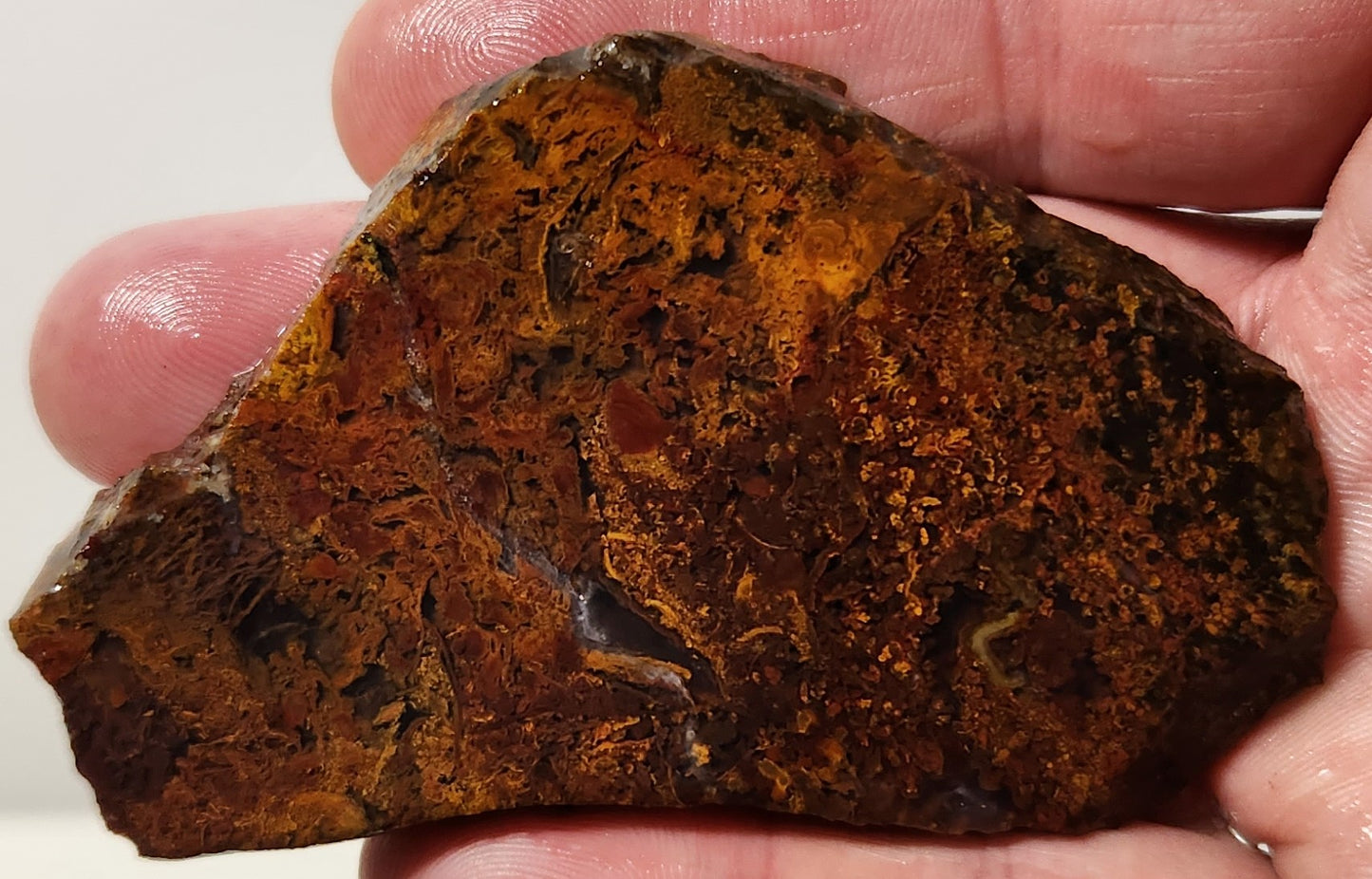 Dalle d'agate à plumes du bassin sanglant