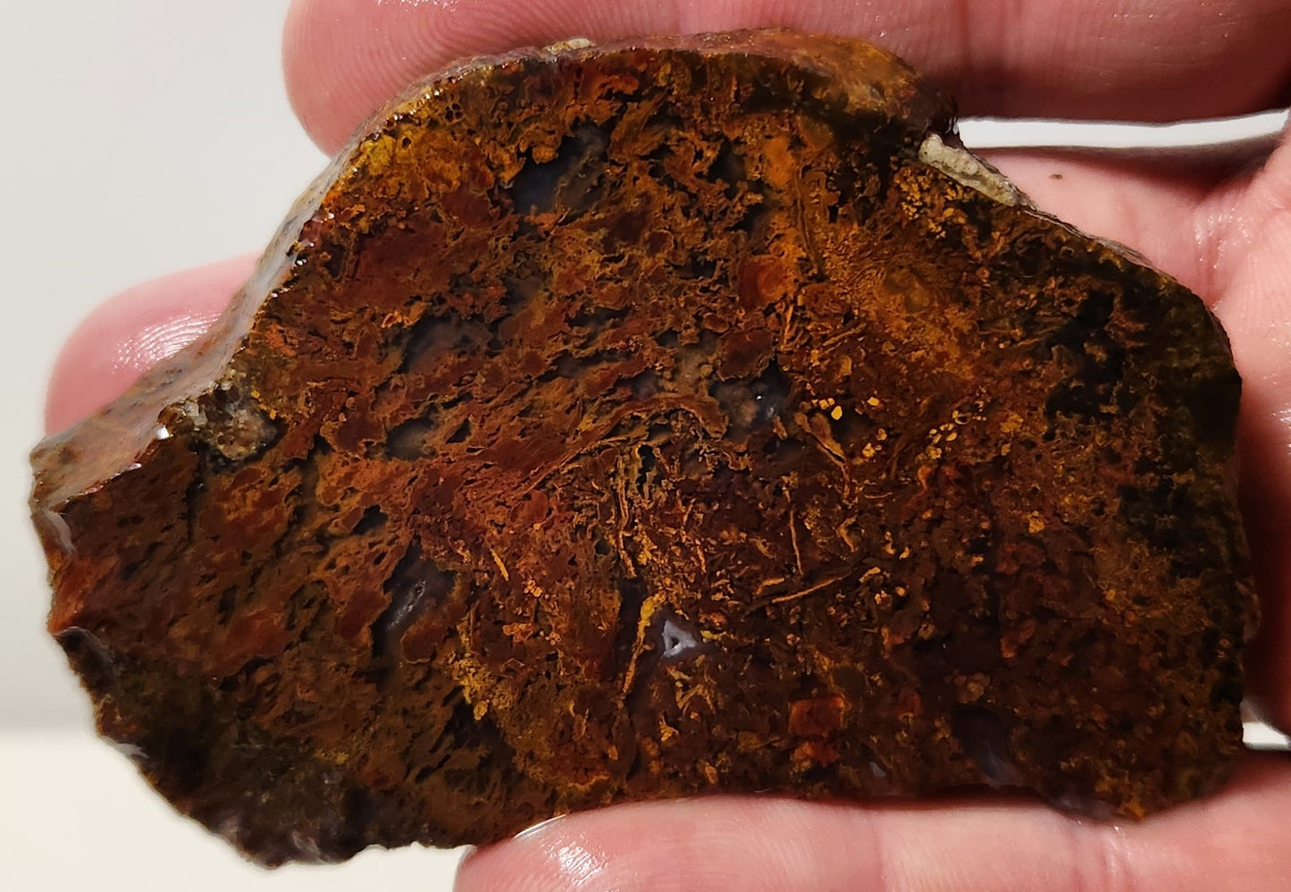 Dalle d’agate de panache de bassin sanglant