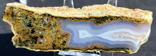 Ágata de costura de musgo verde de cara pulida con fortificaciones azules